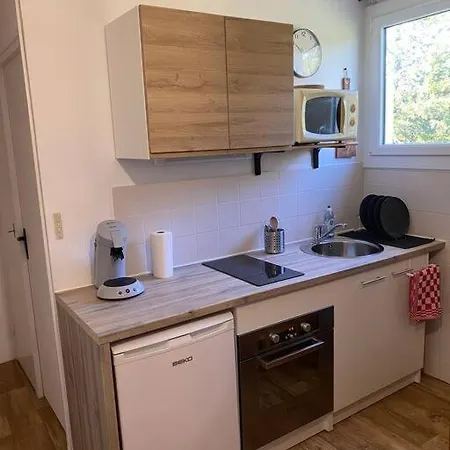 Studio Au Pied Des Pistes Apartment *